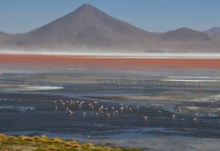 ボリビアとチリの国境付近には大小の塩湖が並ぶ。白（塩）、ピンク（藻類）、緑（ミネラル）など五色に染まる